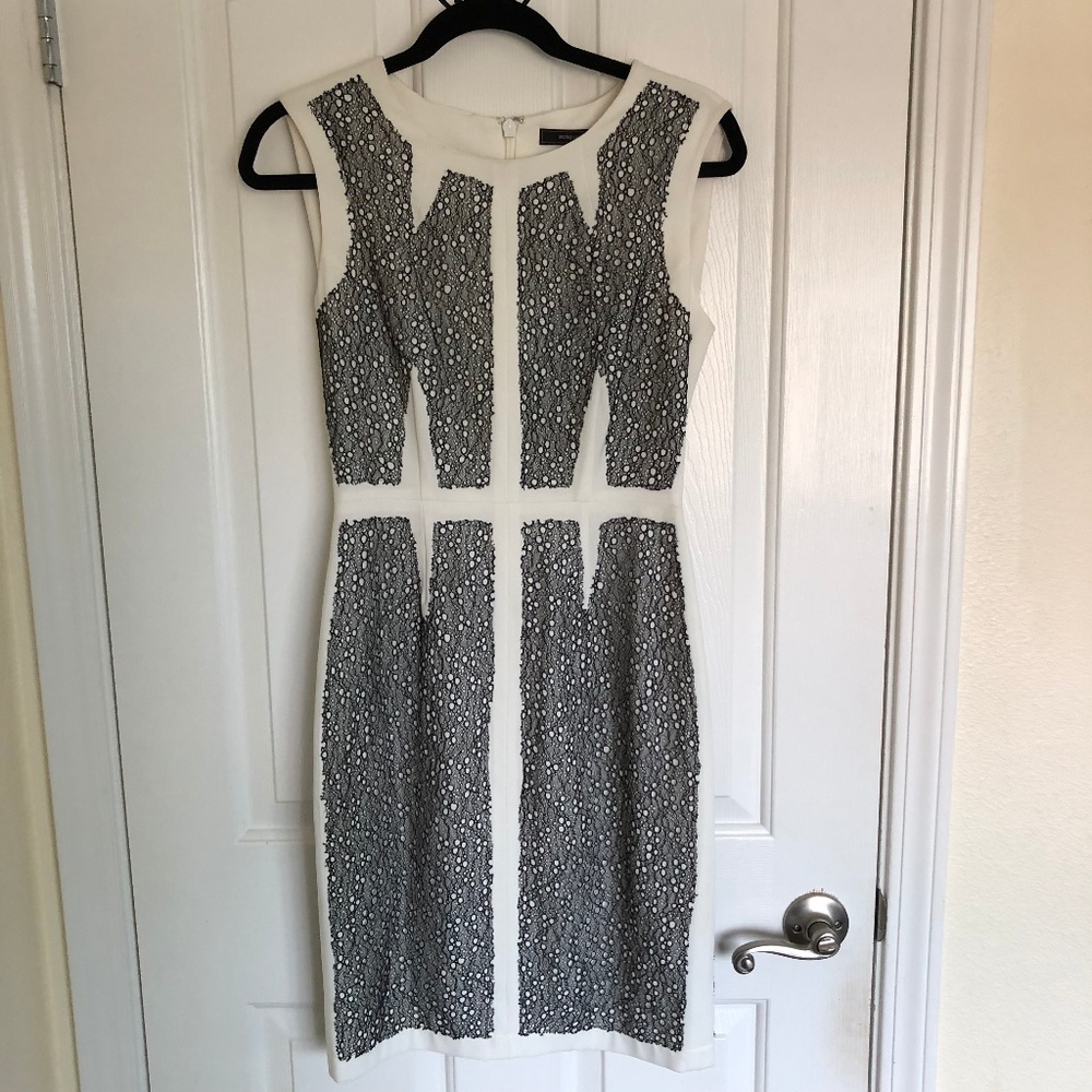 BCBG Rumor Lace-Blocked Sheath Dress